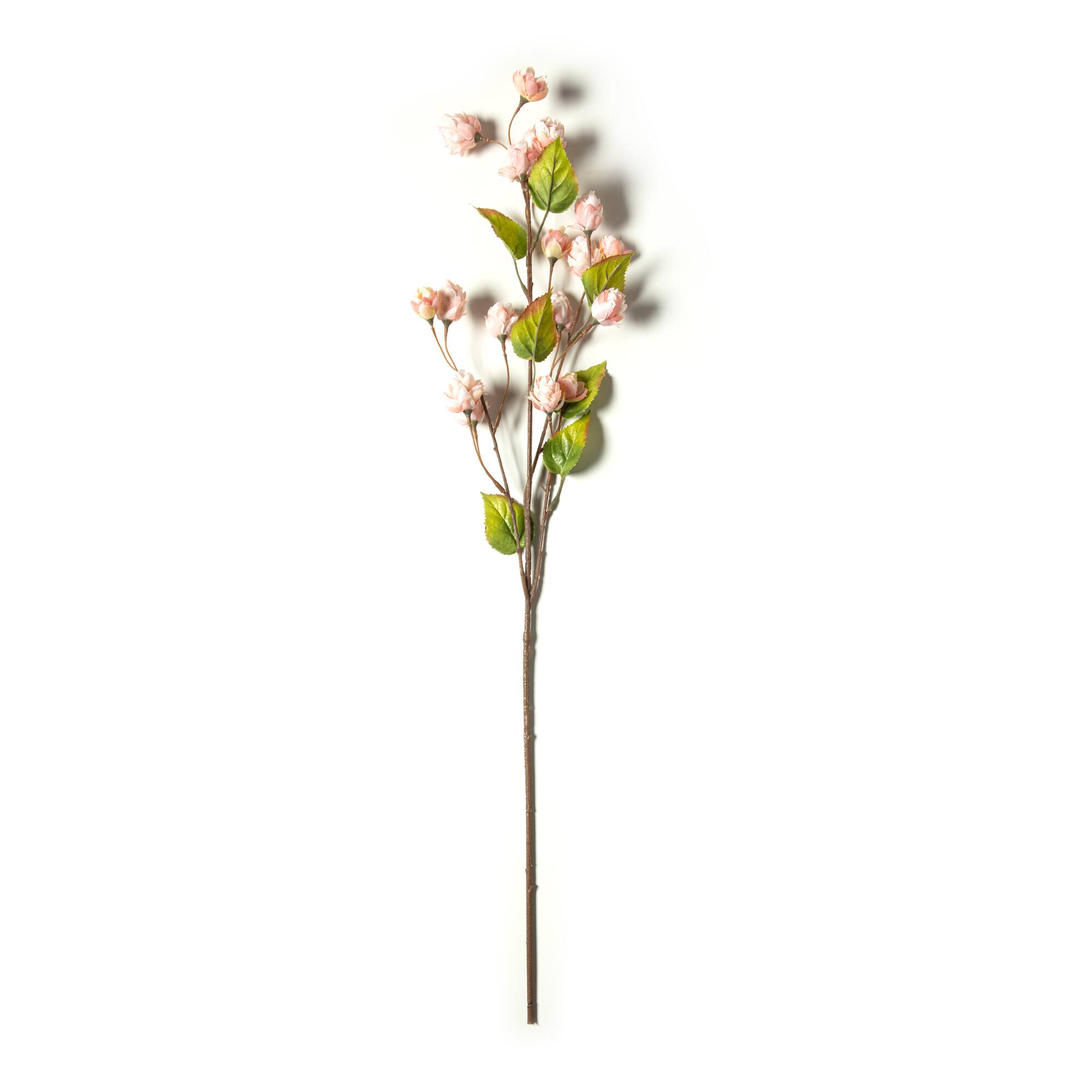 Blush Hops Stem by Ashland®